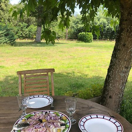 Appartement En Pleine Nature ซุสตง ภายนอก รูปภาพ